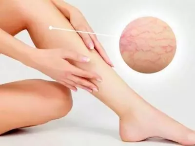 AnyConv.com admin ajax 11 1