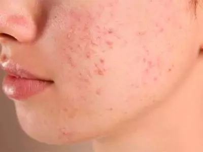 AnyConv.com admin ajax 15