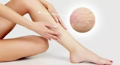 AnyConv.com admin ajax 7 1