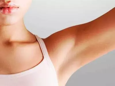 AnyConv.com admin ajax 7