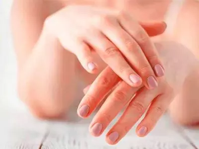 AnyConv.com admin ajax 8